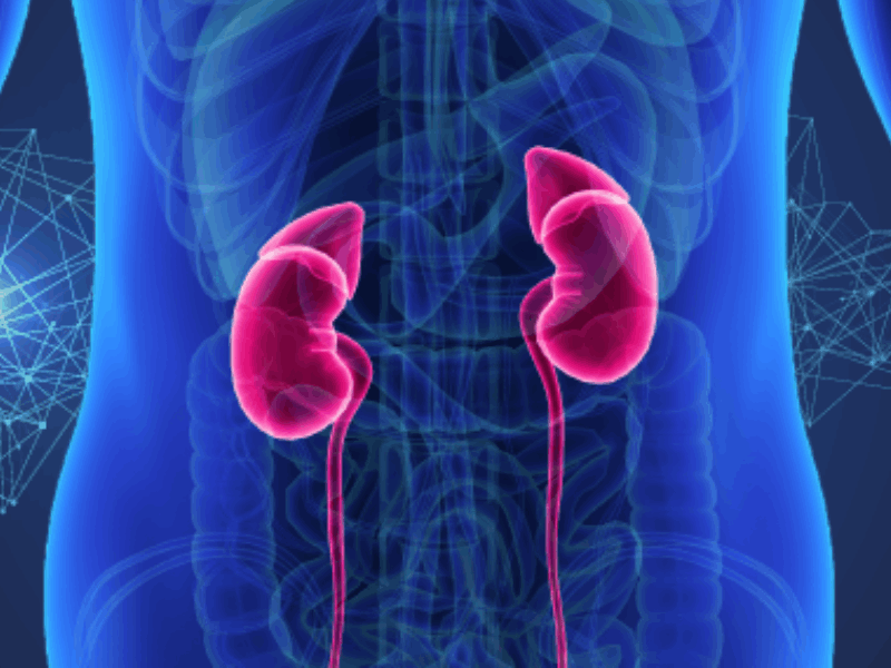 Estudo mostra biomarcador diagnóstico e prognóstico em pacientes com massas renais suspeitas