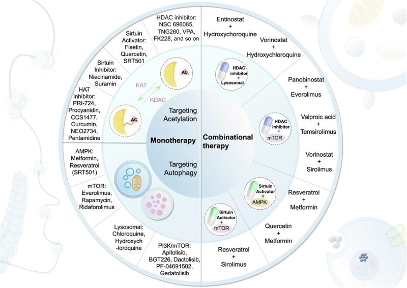 drops acetilacao autofagia