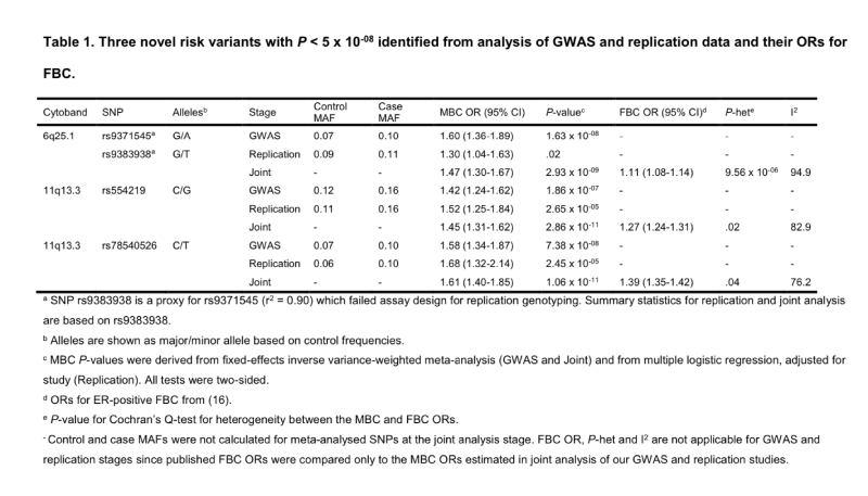 drops genomica mama masculino bx