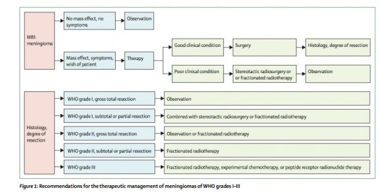 Guideline_Meningioma_NET_OK.jpg