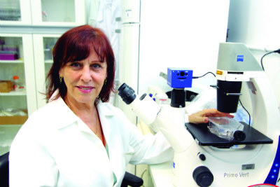 LUISA LINA VILLA NET OK