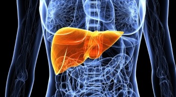 HIMALAYA: benefício de longo prazo de tremelimumabe mais durvalumabe no carcinoma hepatocelular
