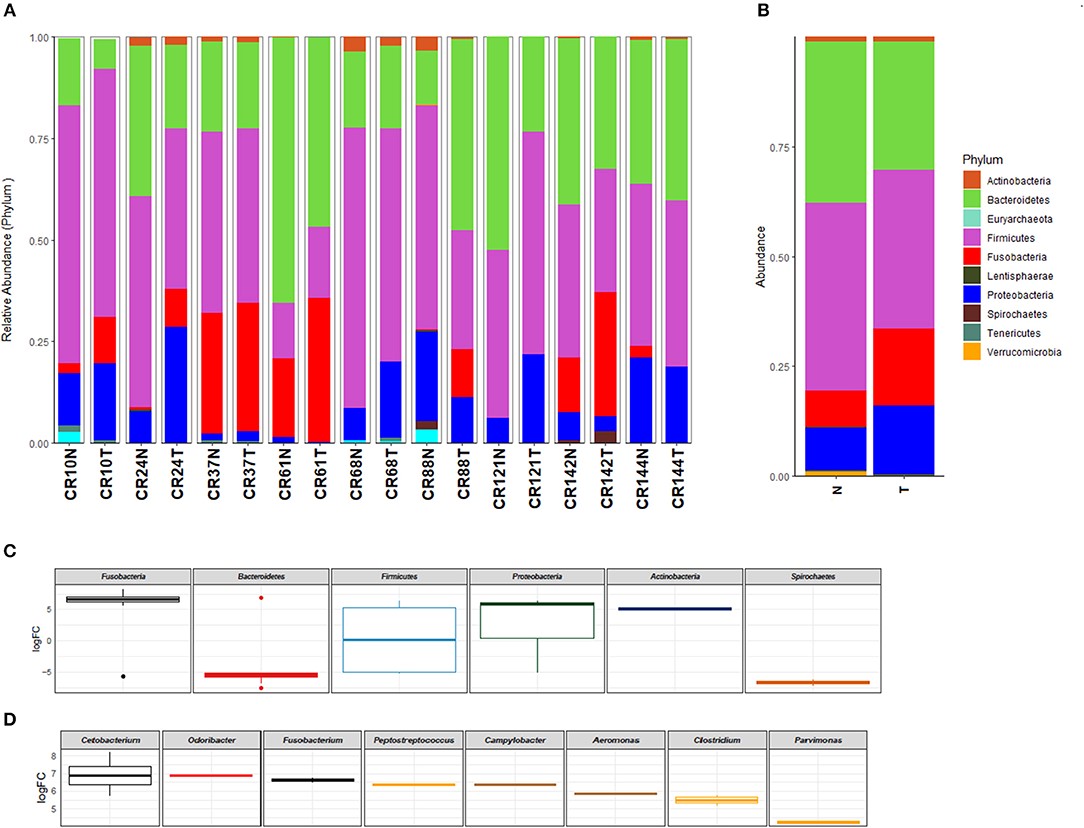 Fig.2 microbioma ccr barretos