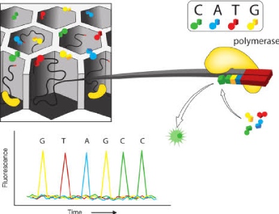 drops tecnologia sequenciamento 21 bx