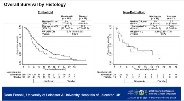 kaplan meyer nivo meso wclc bx
