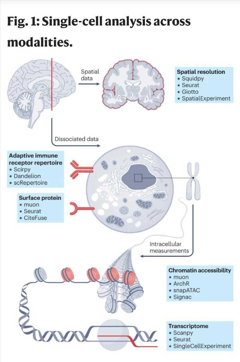 drops tecnologias celula unica