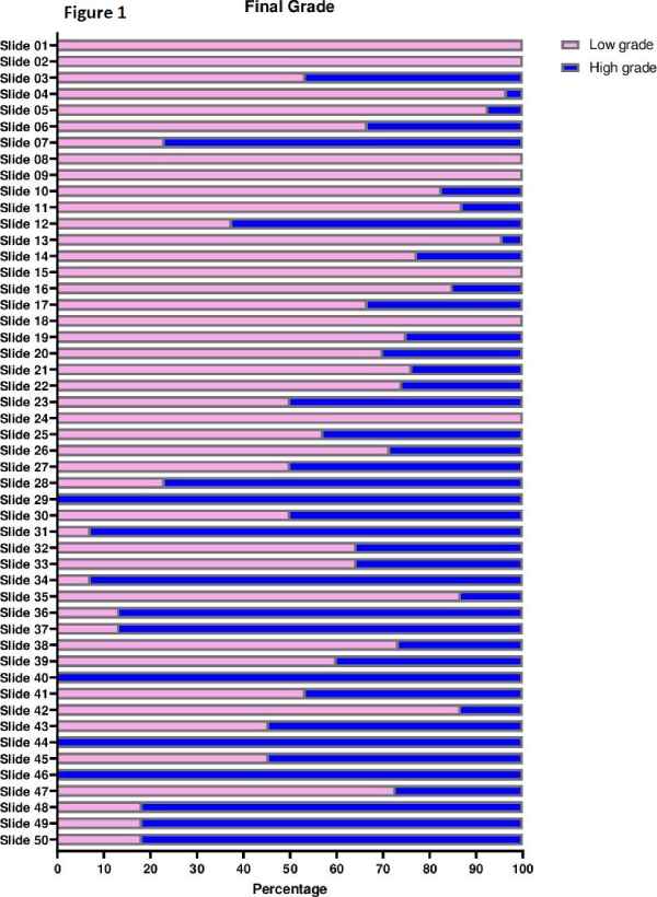variacao patologia meso