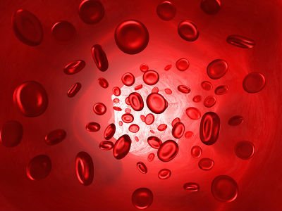 ASH 2015 blood cells NET OK