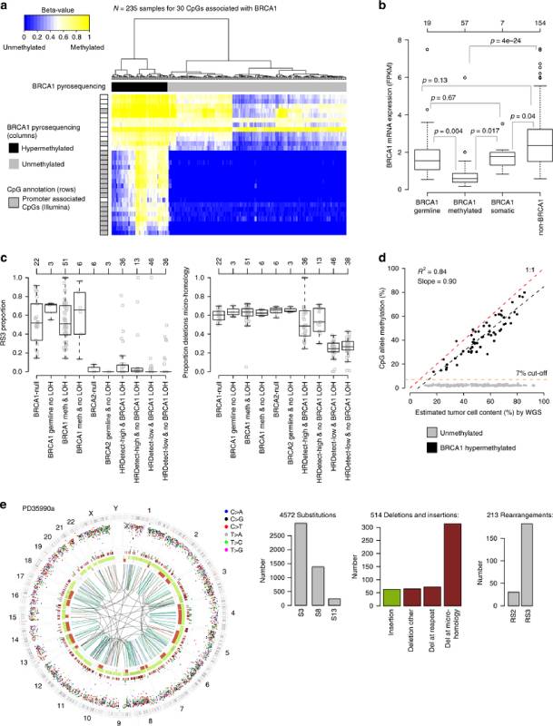 drops brca1 hipermetilacao