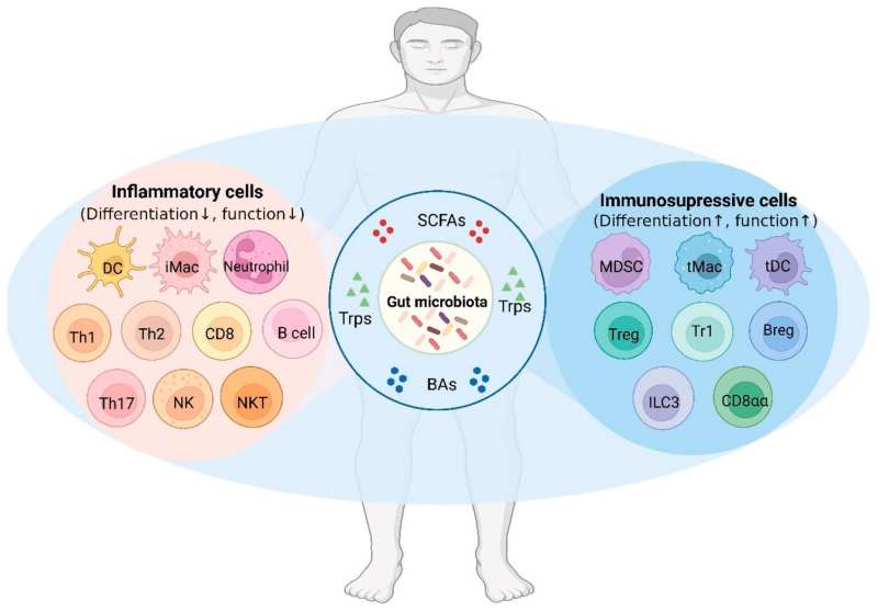 drops microbiota