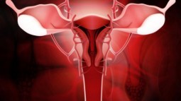 Como o câncer do colo do útero poderia ser reduzido no Brasil?
